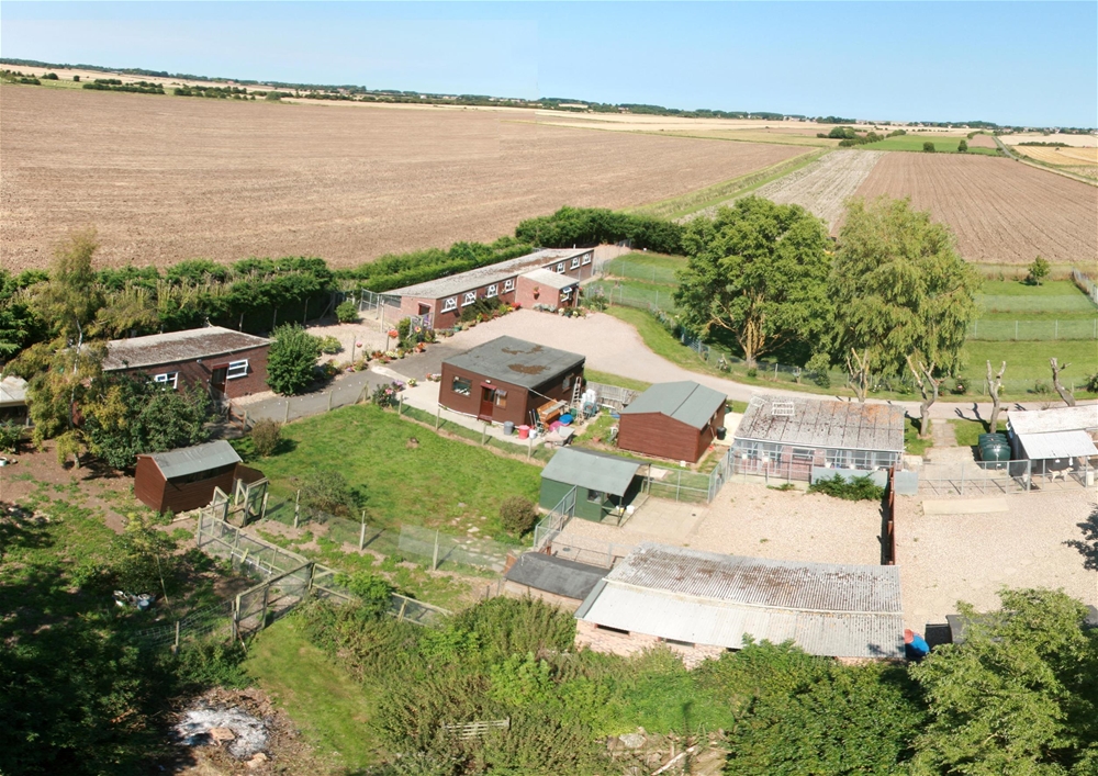 Kennels, Cattery & Equestrian businesses Eddisons